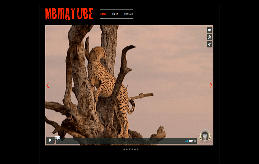 MBIRA TUBE screenshot 1